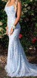 Custom Unique Mermaid Blue Lace Popular Elegant Long Prom Dresses PD125