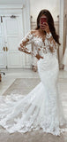 Mermaid Long Sleeves Lace Unique Elegant Dream Beach Vintage Long Wedding Dresses WD004
