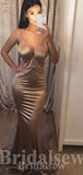 Simple Spaghetti Straps Mermaid Stylish Elegant Long Women Evening Prom Dresses PD757