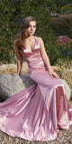 Spaghetti Straps Mermaid Pink Pretty Elegant Party Evening Long Prom Dresses PD1137